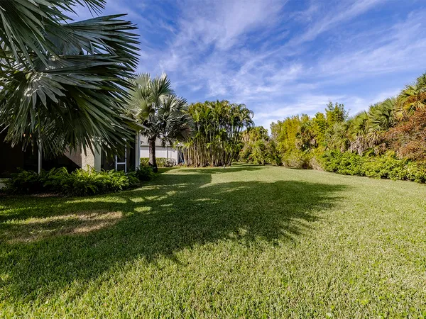 a view of a yard with a palm tree