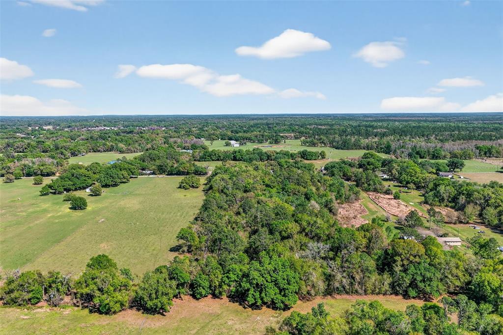 14370 County Road 751 Webster, FL 33597 - Photo 33 of 34