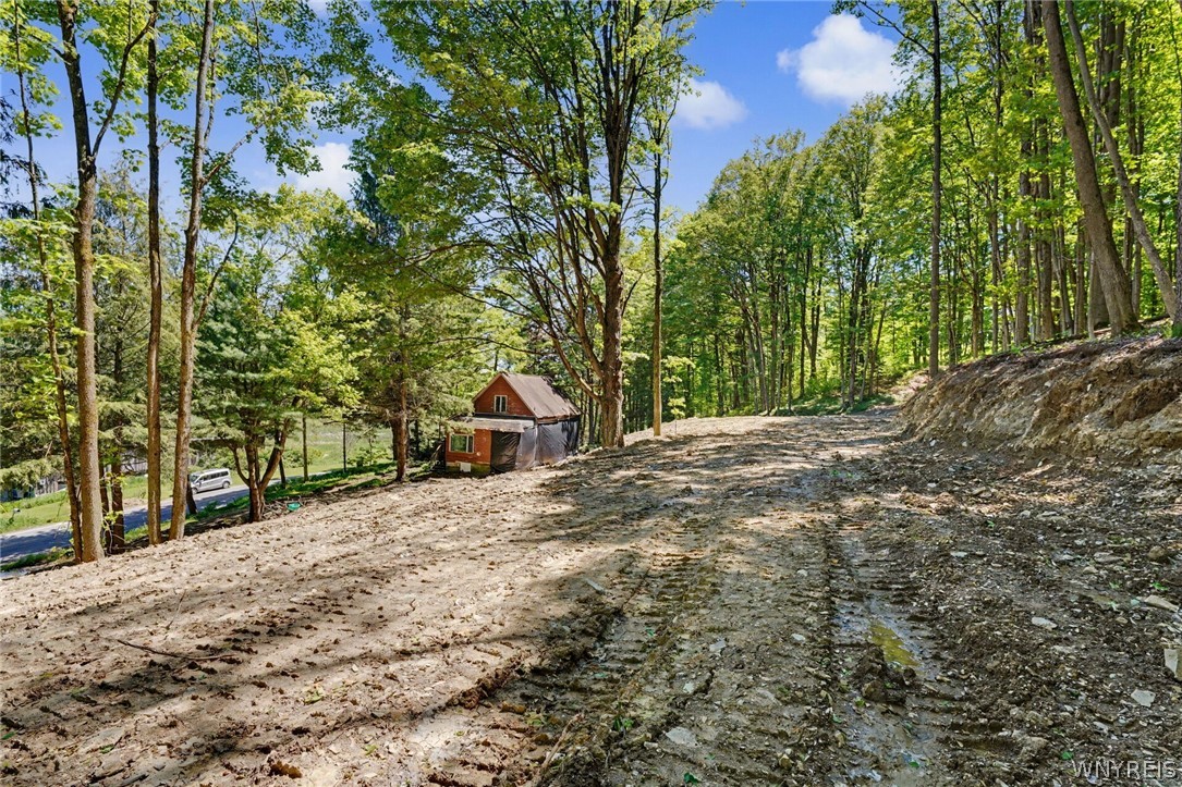 8176 Irish Road Colden, NY 14033 - Photo 31 of 41