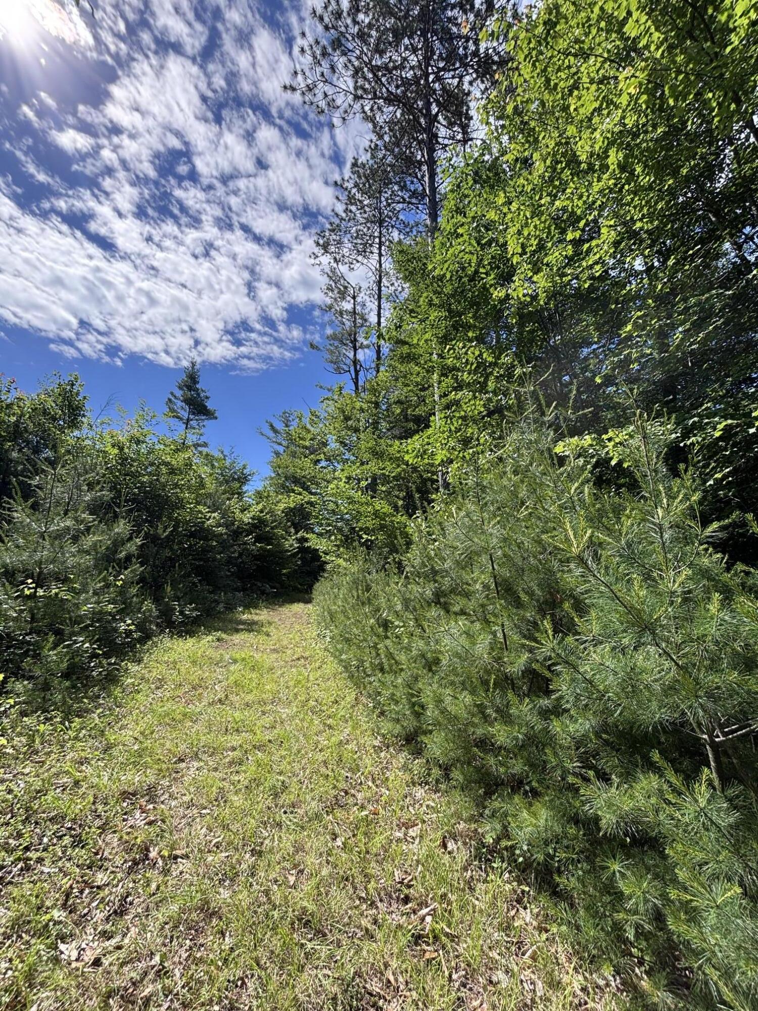 Lot #22 Streaked Mountain Road Buckfield, ME 04220 - Photo 7 of 14 image4