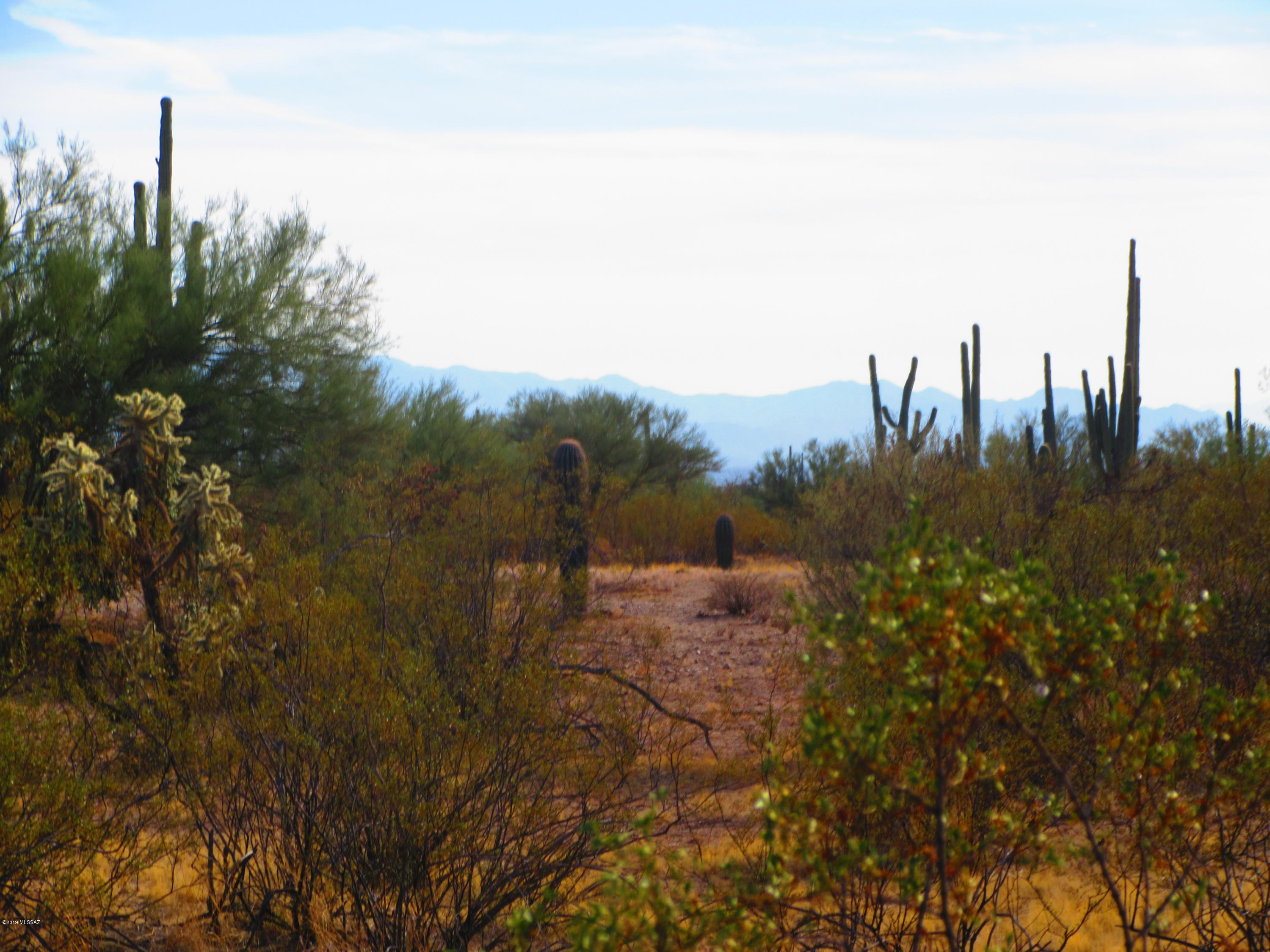 Cattle Tank, Unit 20AC Marana, AZ 85658 - Photo 11 of 17