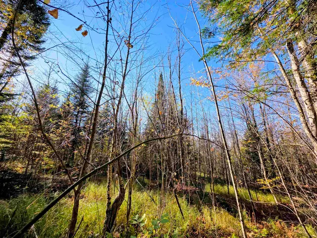 $110,000 | Washburn Road, North Stratford, NH 03590