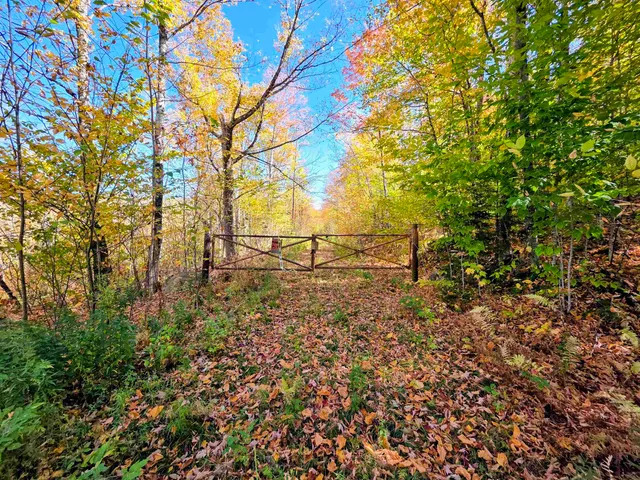 $110,000 | Washburn Road, North Stratford, NH 03590