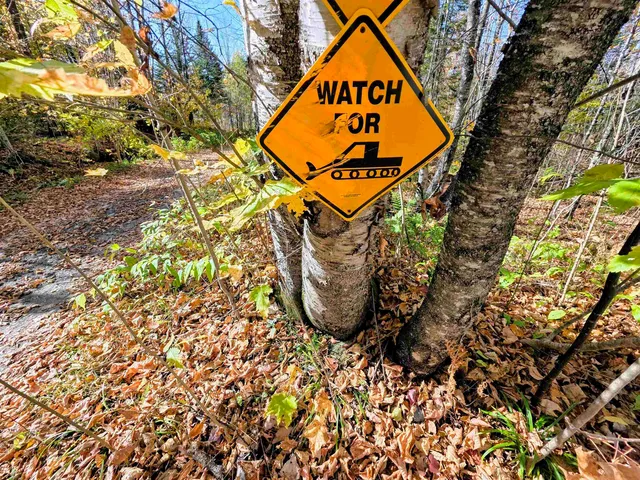 $110,000 | Washburn Road, North Stratford, NH 03590