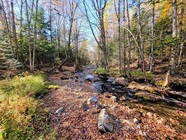 $110,000 | Washburn Road, North Stratford, NH 03590