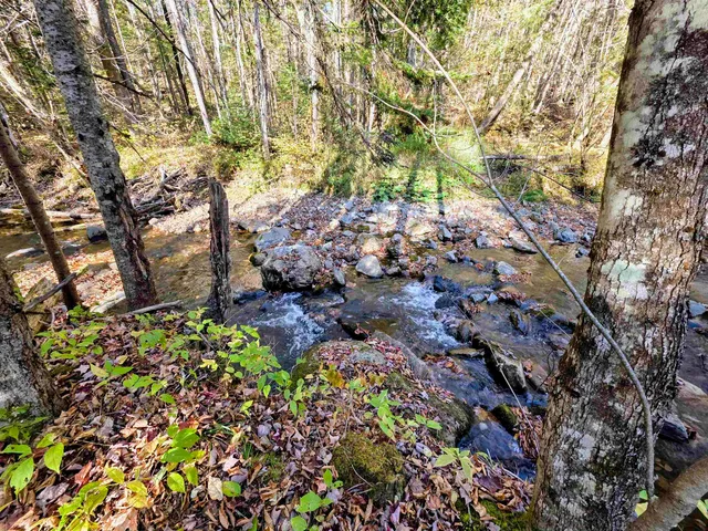 $110,000 | Washburn Road, North Stratford, NH 03590