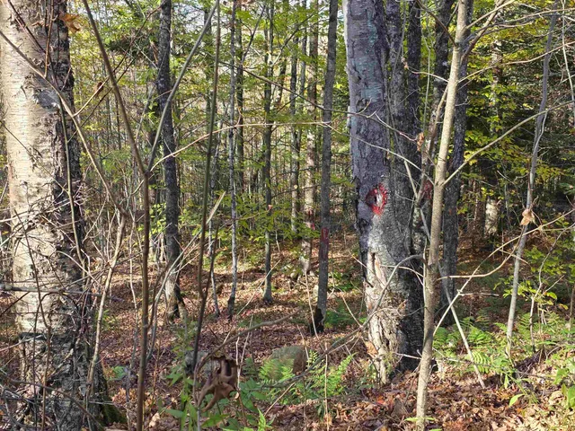 $110,000 | Washburn Road, North Stratford, NH 03590