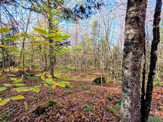 $110,000 | Washburn Road, North Stratford, NH 03590