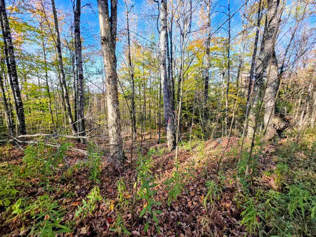 $110,000 | Washburn Road, North Stratford, NH 03590