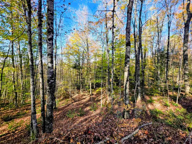 $110,000 | Washburn Road, North Stratford, NH 03590