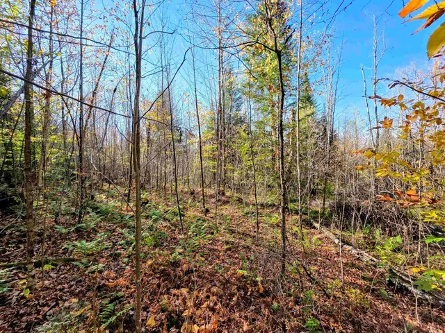 $110,000 | Washburn Road, North Stratford, NH 03590