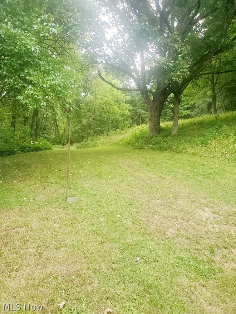 58733 Trail Run Road Byesville, OH 43723 - Photo 4 of 20