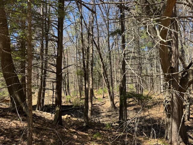 Lot 14 Bartlett Road Kittery Point, ME 03905 - Photo 4 of 8