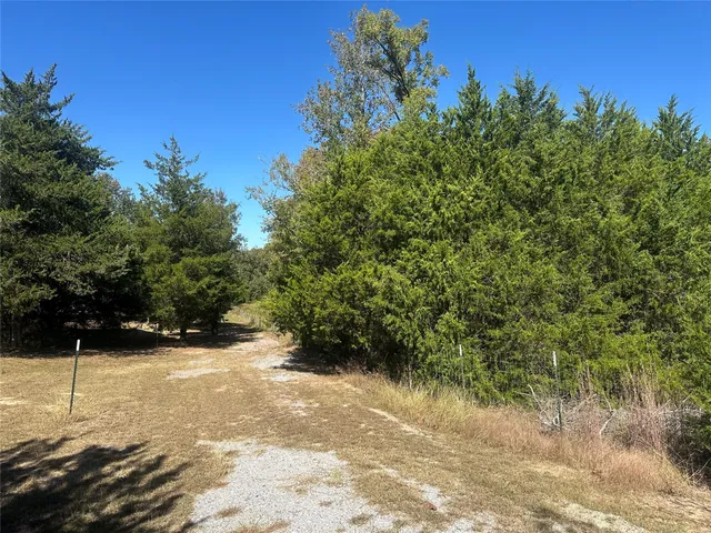a view of a yard with plants and a trees