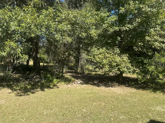 a view of backyard of green space
