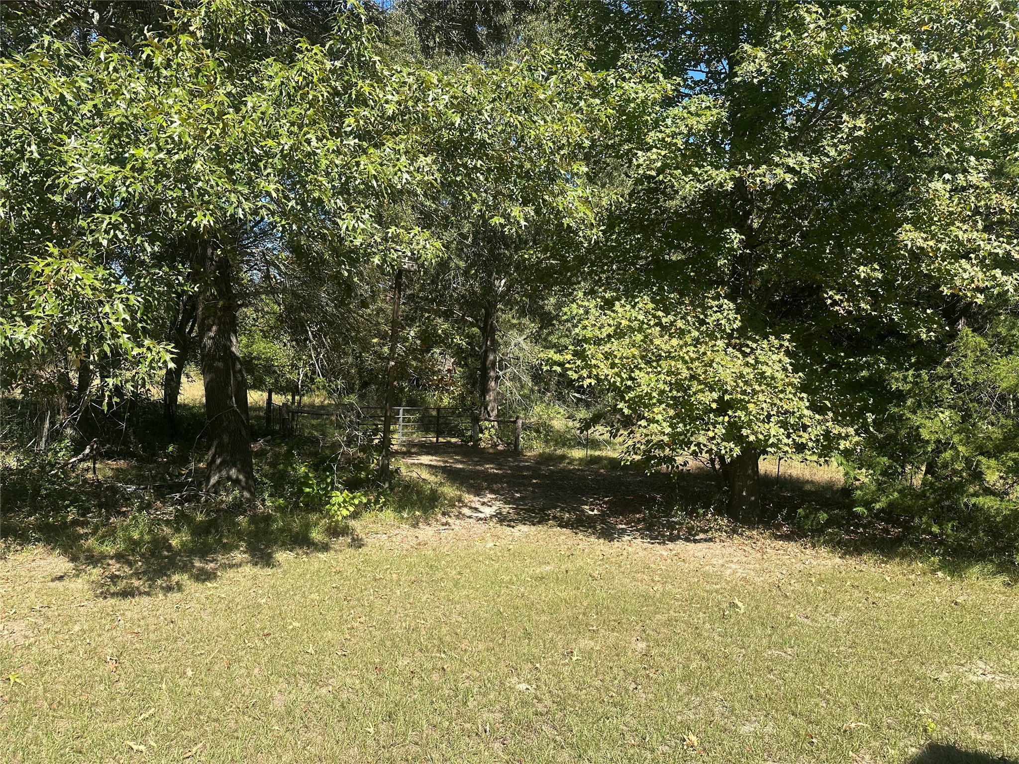4173 Highway 79 Buffalo, TX 75831 - Photo 9 of 17 a view of backyard of green space