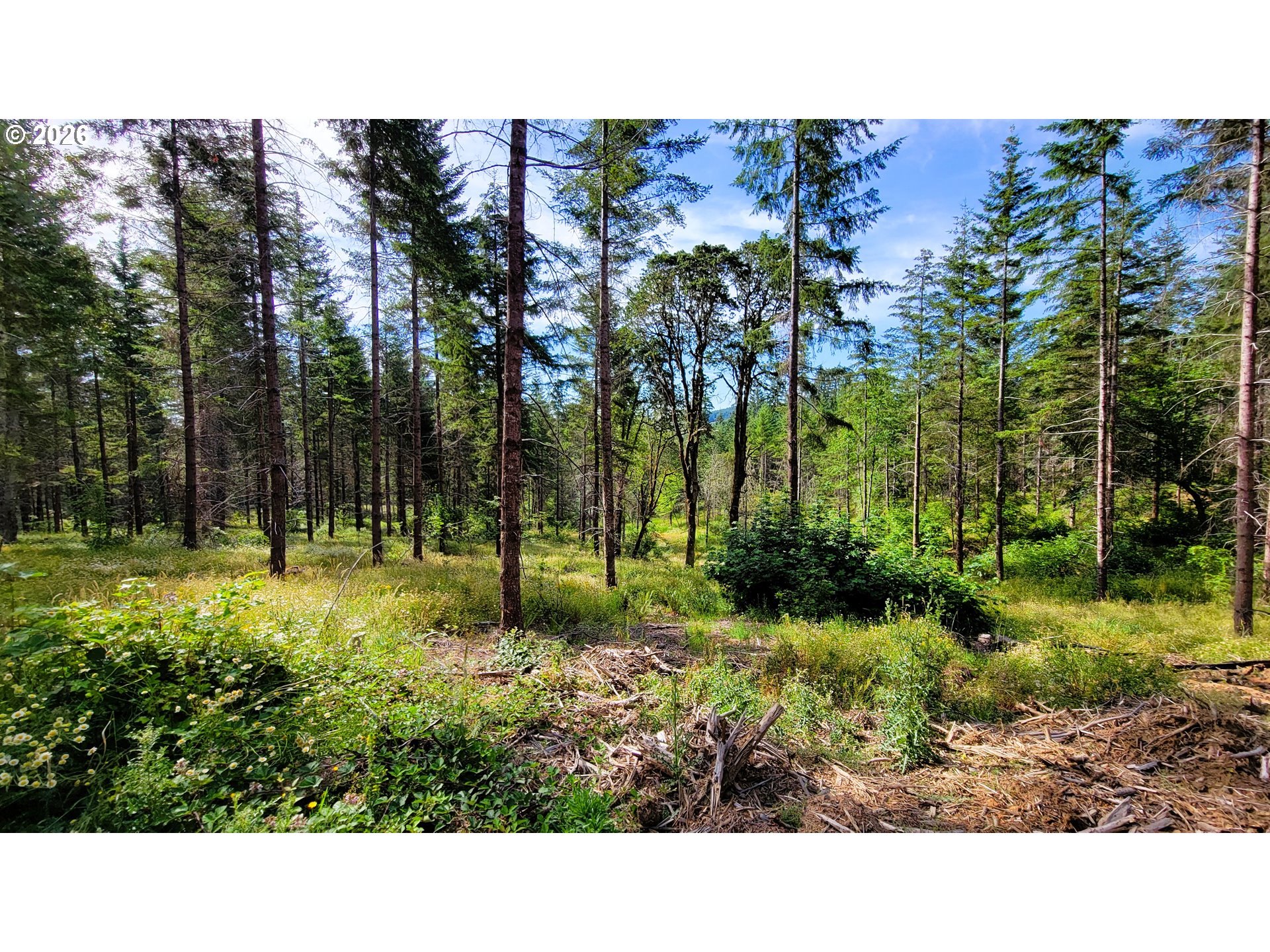Branch Road, Unit 108 Eugene, OR 97402 - Photo 12 of 18