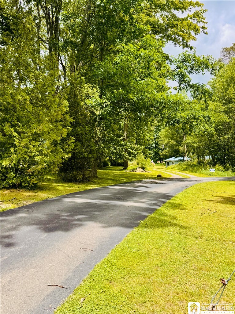 190 Old Fentonville Road Carroll, NY 14738 - Photo 41 of 41
