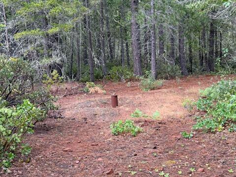Lone Mountain Road, Unit 1300 Cave Junction, OR 97523 - Photo 11 of 15 Well head. 6 casing.