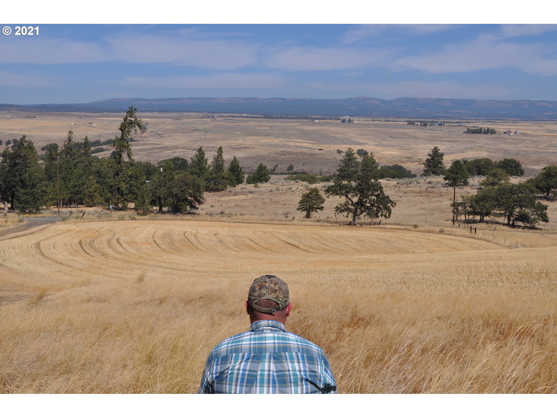 343 Oak Flat Road Goldendale, WA 98620 - Photo 2 of 16 Gallery Image 2