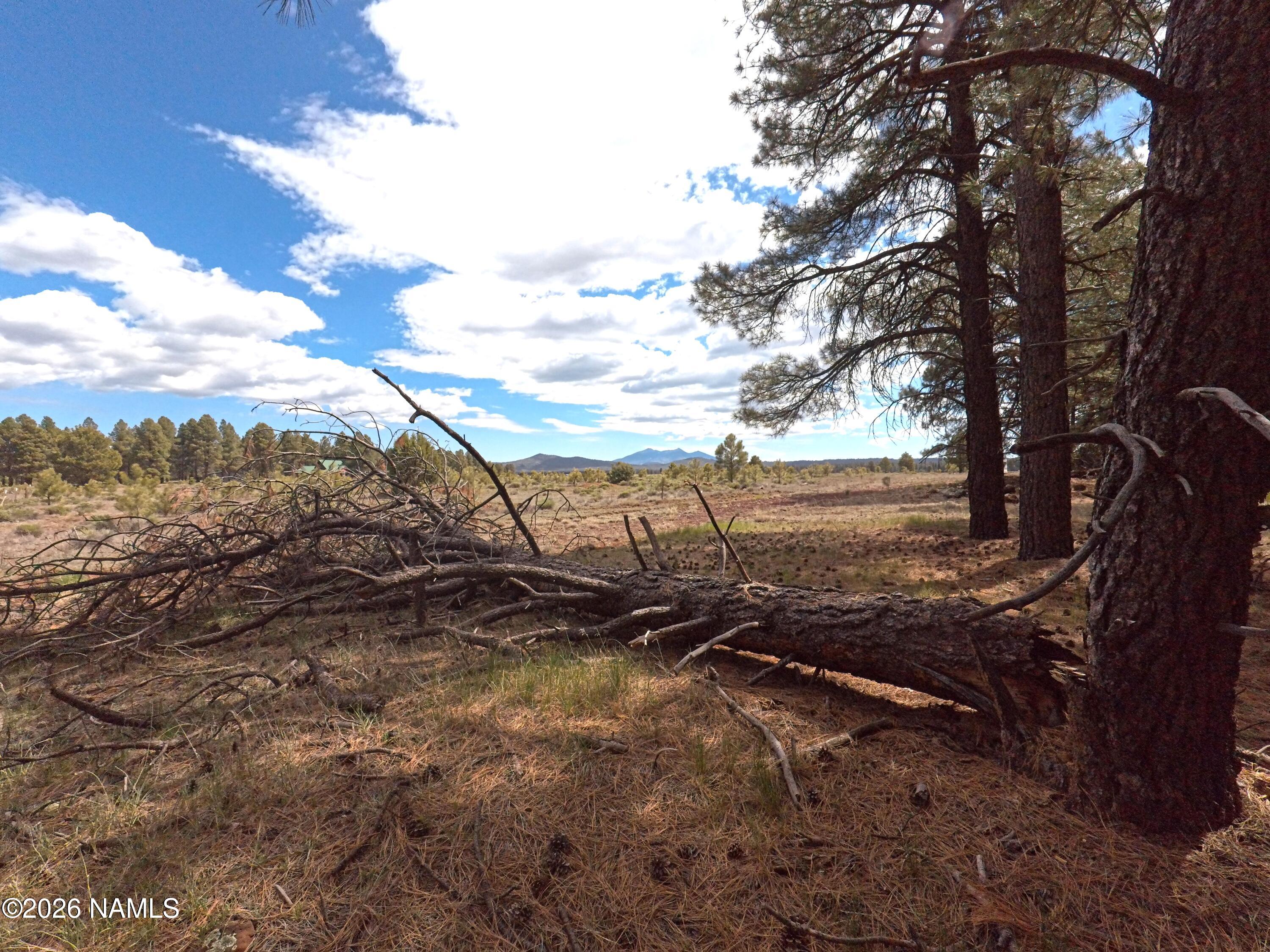 12565 Camp Kimball Road Parks, AZ 86005 - Photo 22 of 60 IMG_20260501_100002_251
