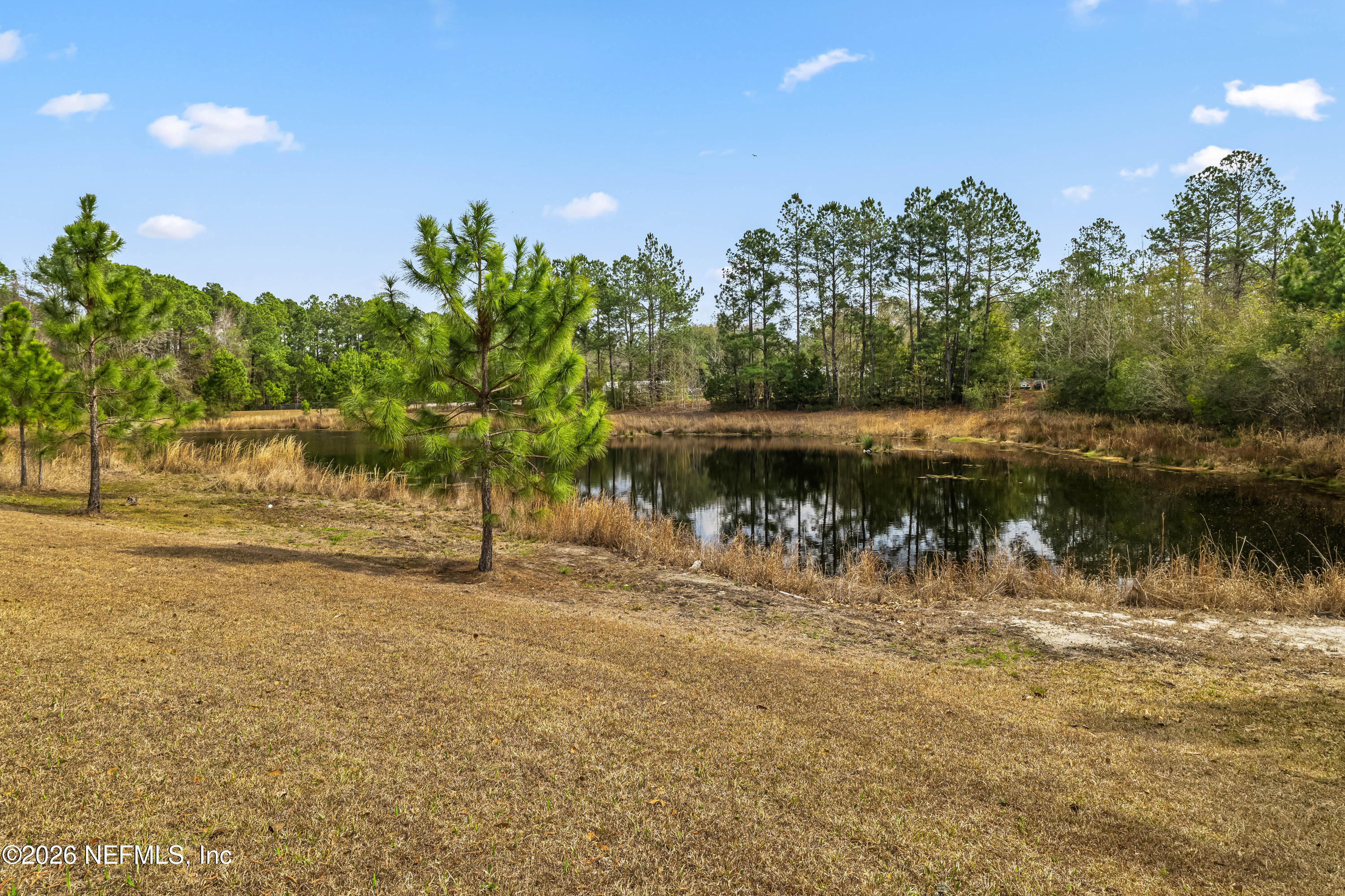28208 Bow Tie Alley Hilliard, FL 32046 - Photo 12 of 39 28208 Bow Tie Aly (30).JPG-FULL