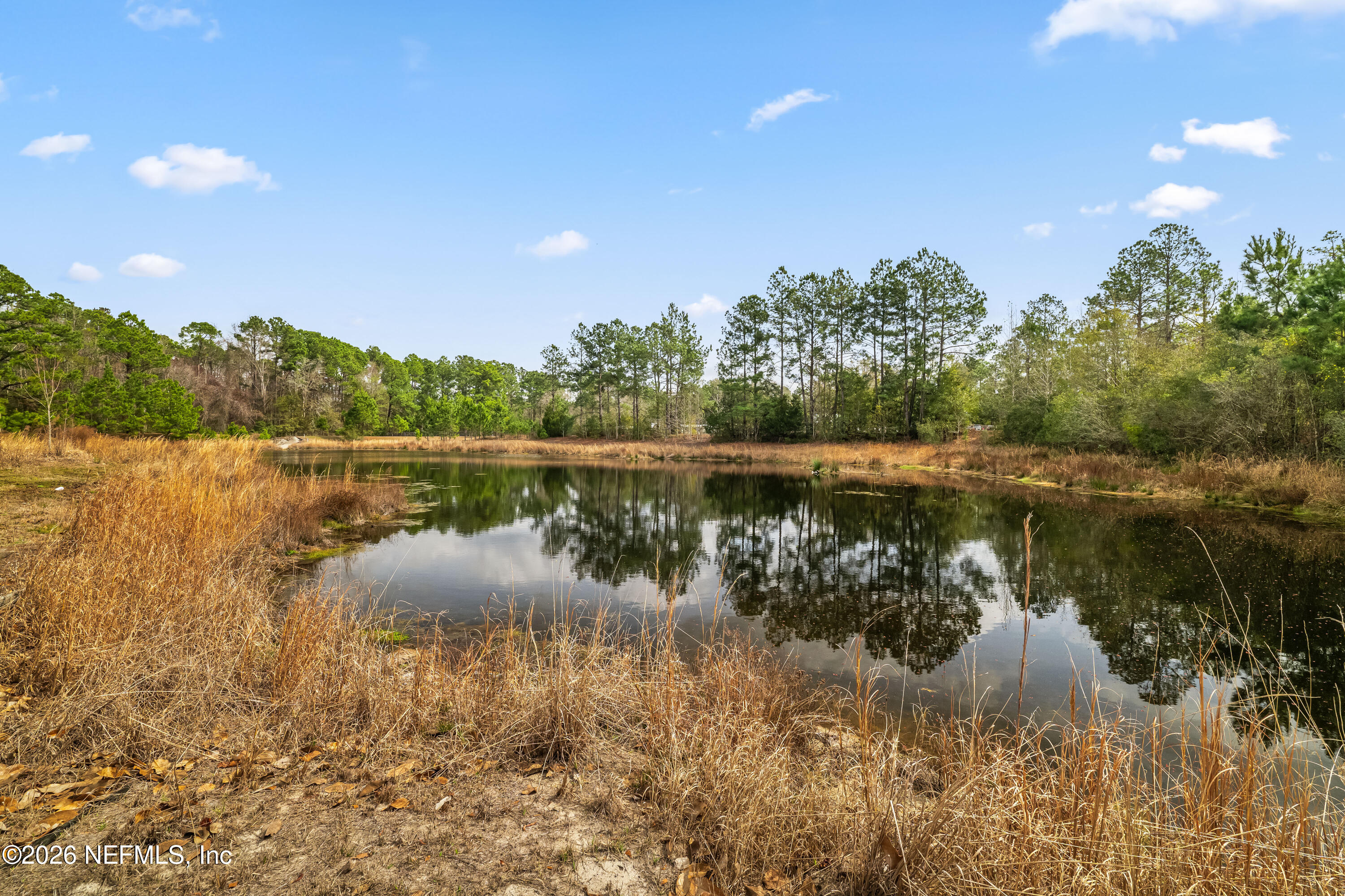28208 Bow Tie Alley Hilliard, FL 32046 - Photo 13 of 39 28208 Bow Tie Aly (31).JPG-FULL