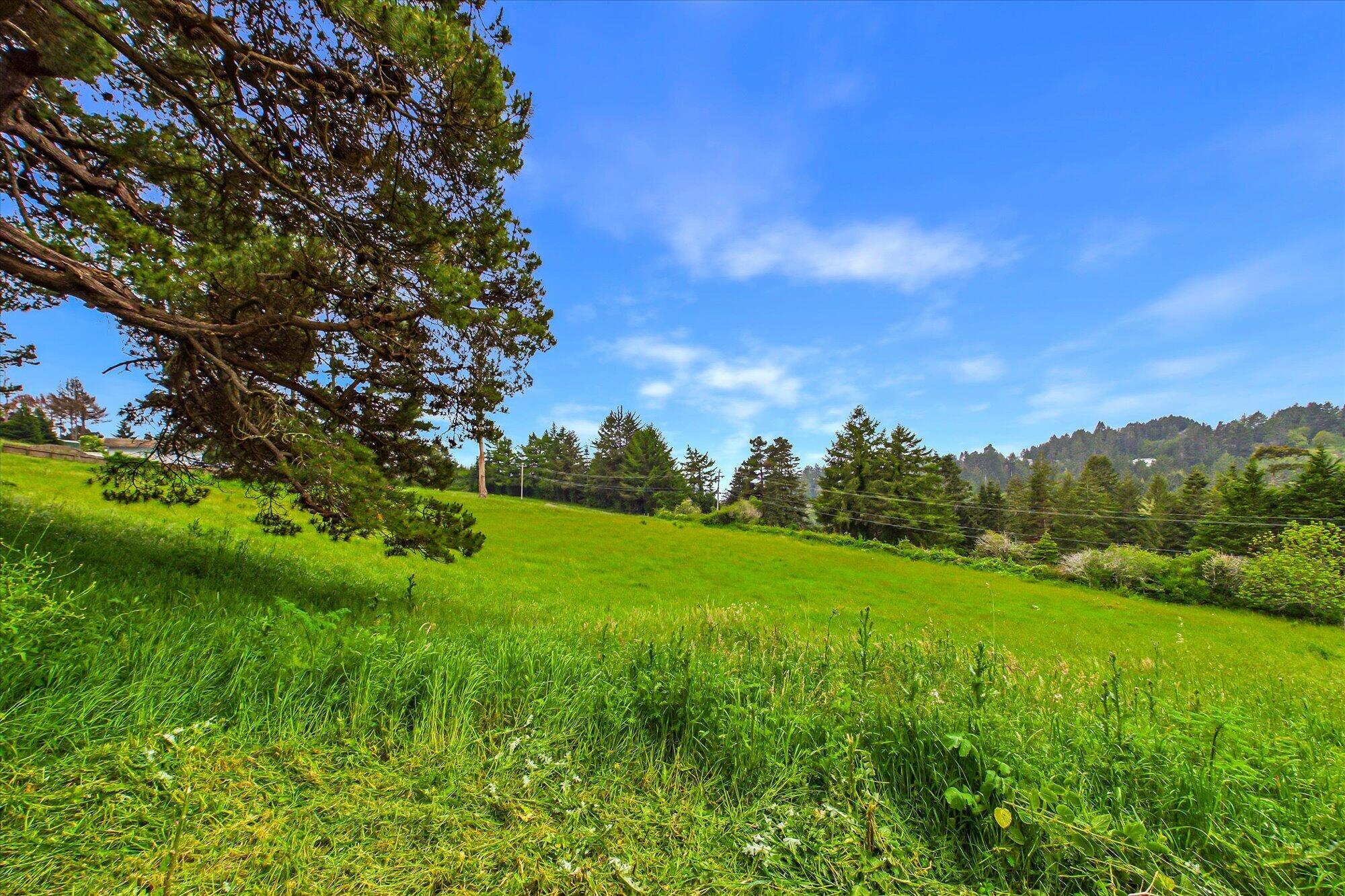 6483 Rohnerville Road Hydesville, CA 95547 - Photo 83 of 96