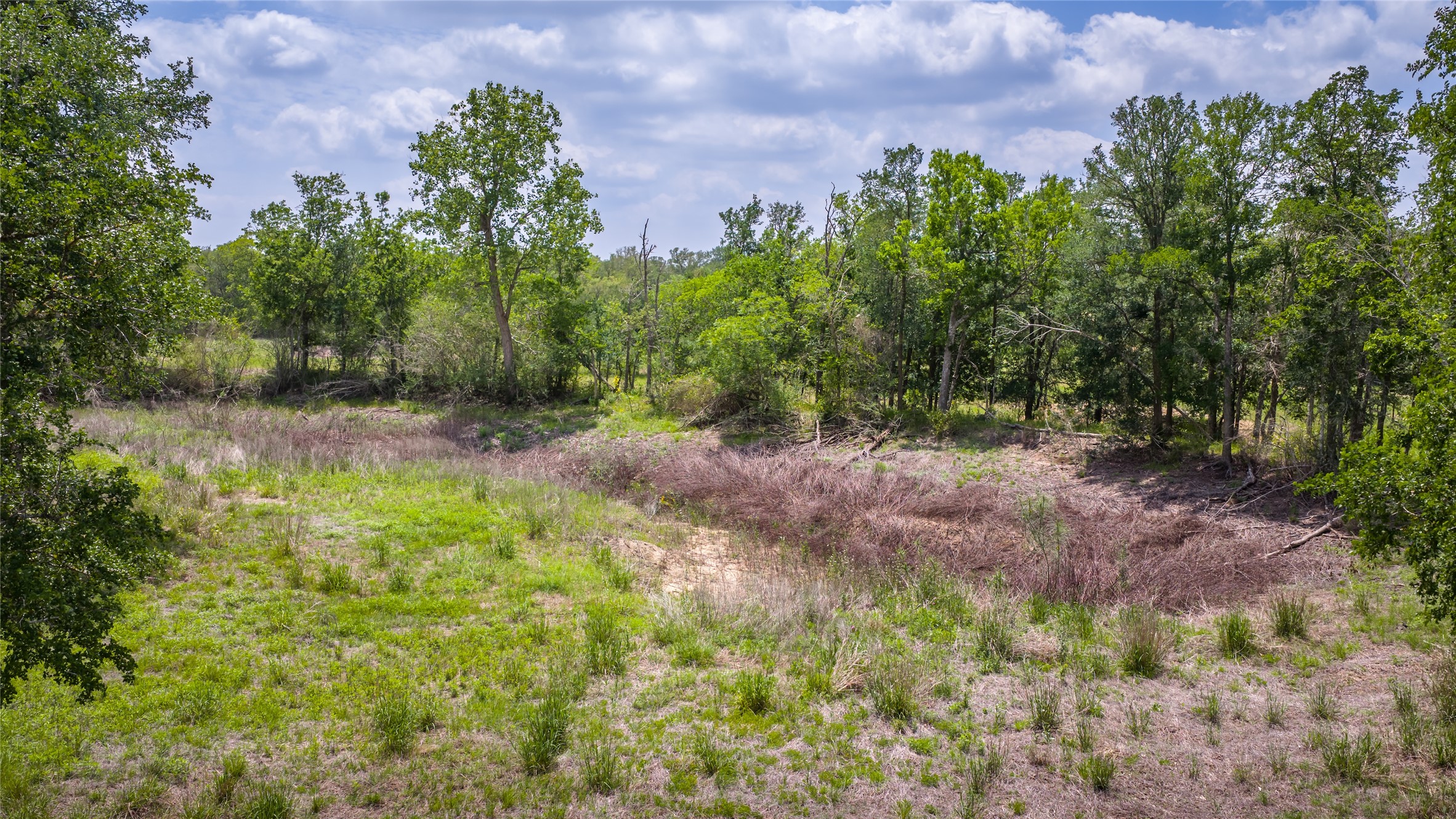 4082 Old Colony Line Road Lockhart, TX 78644 - Photo 27 of 40 A verdant, undeveloped lot offers a serene setting for future plans.