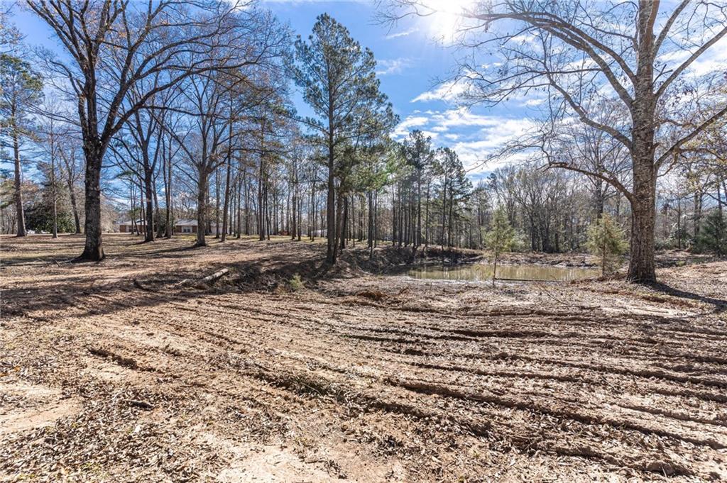 74006 North River Road Kentwood, LA 70444 - Photo 3 of 30 Gallery Image 3