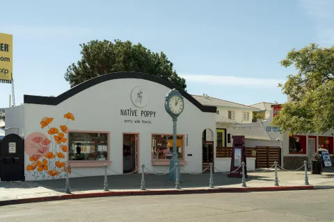 $4,000,000 | 2202 30th Street, San Diego, CA 92104