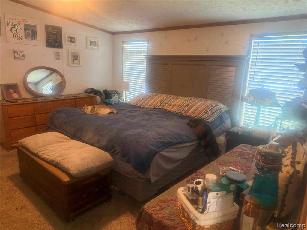 5716 Falkenbury Road North Branch, MI 48461 - Photo 36 of 51
