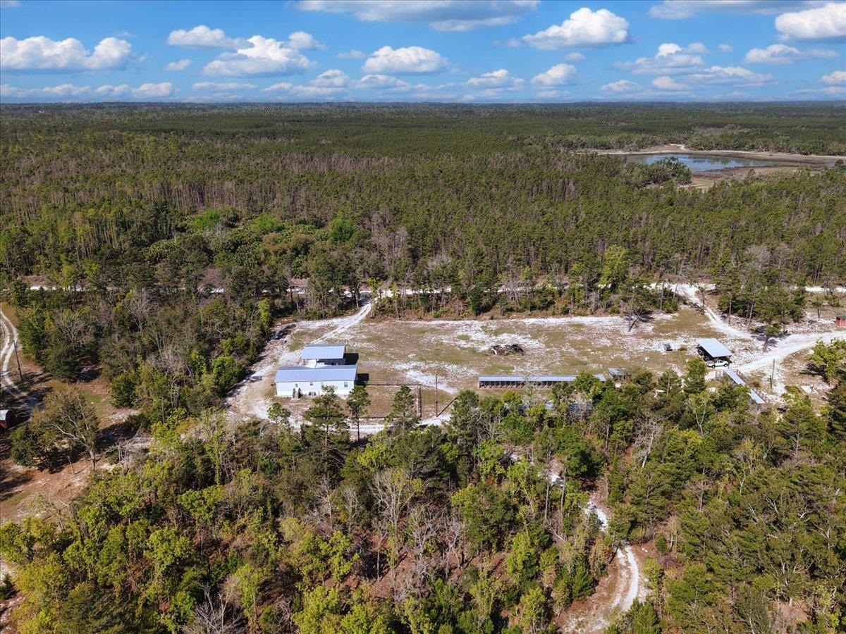 17600 Clearwater Creek Road Perry, FL 32348 - Photo 4 of 39