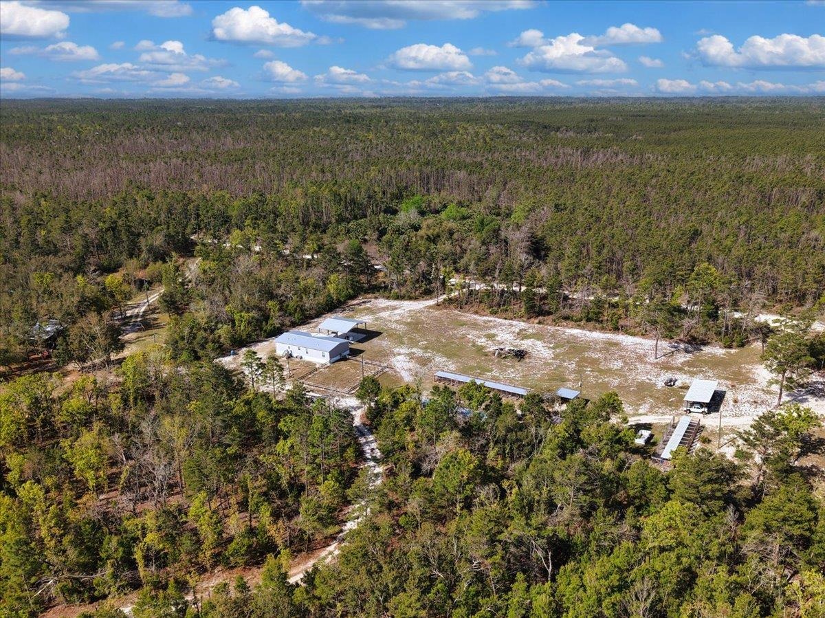 17600 Clearwater Creek Road Perry, FL 32348 - Photo 5 of 39