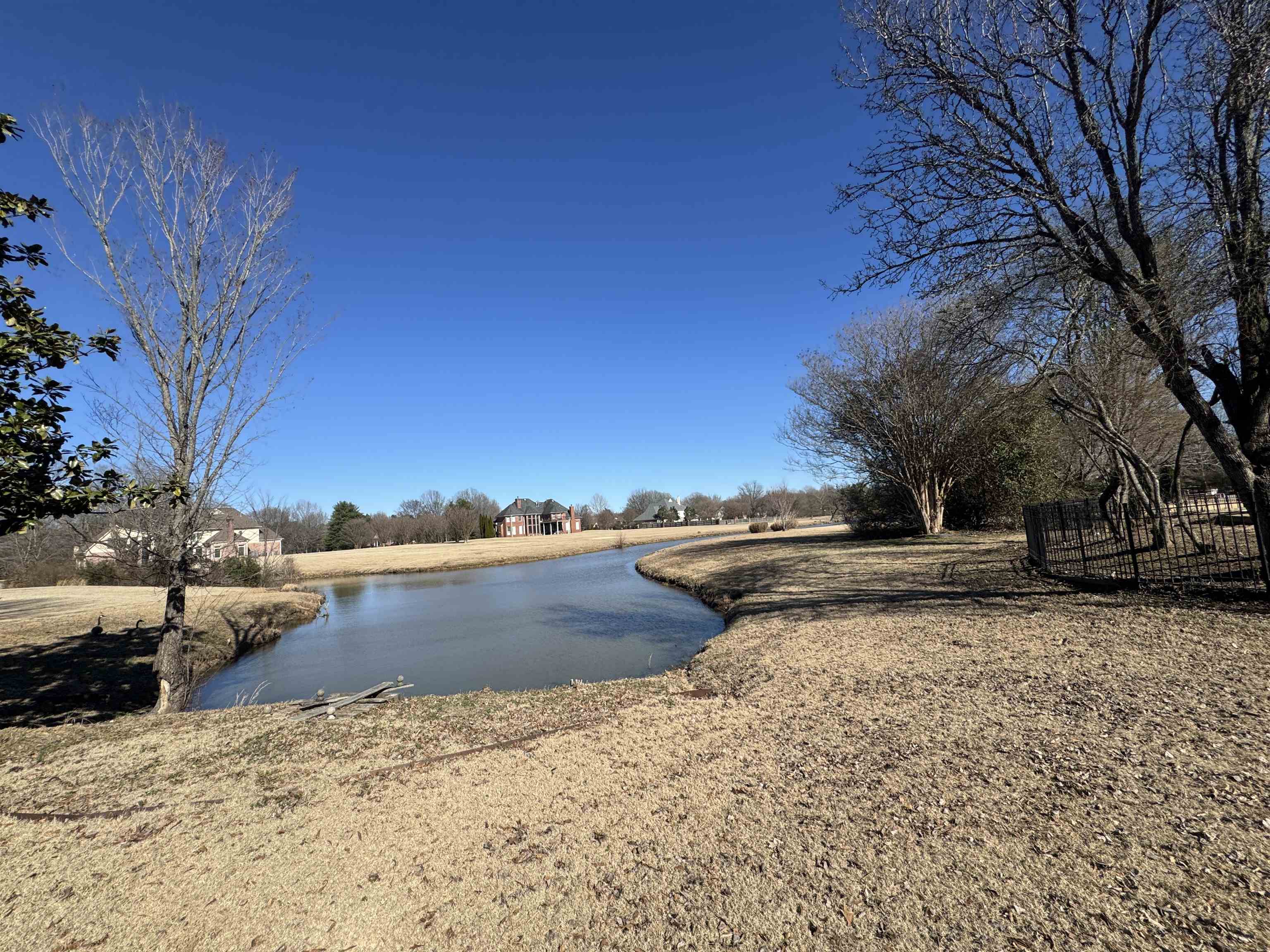 9500 Plantation Lake Road Collierville, TN 38017 - Photo 6 of 40 a view of a yard with a tree