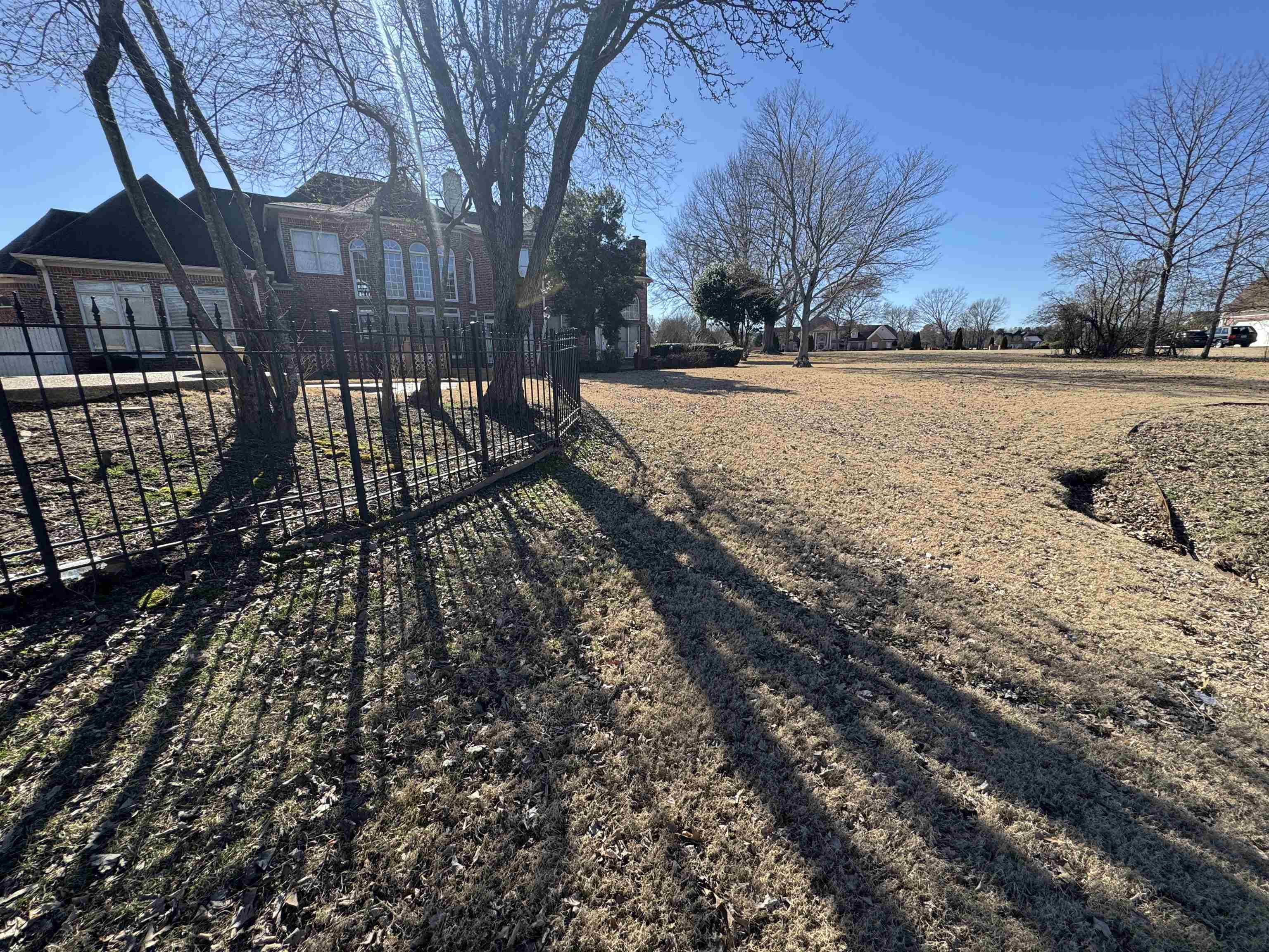 9500 Plantation Lake Road Collierville, TN 38017 - Photo 7 of 40 a view of yard covered with snow in front of house