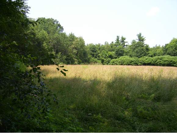 Lot 1 Cross Road Derry, NH 03038 - Photo 1 of 1