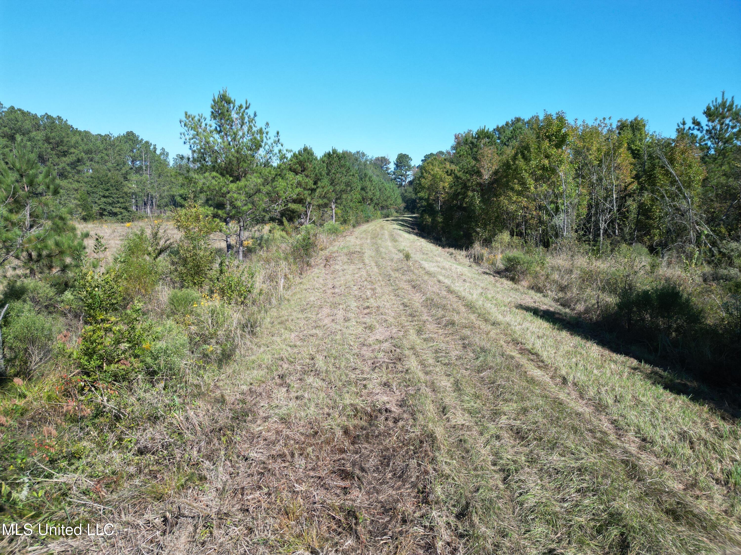 1844 Swamp Road Carthage, MS 39051 - Photo 11 of 29 11