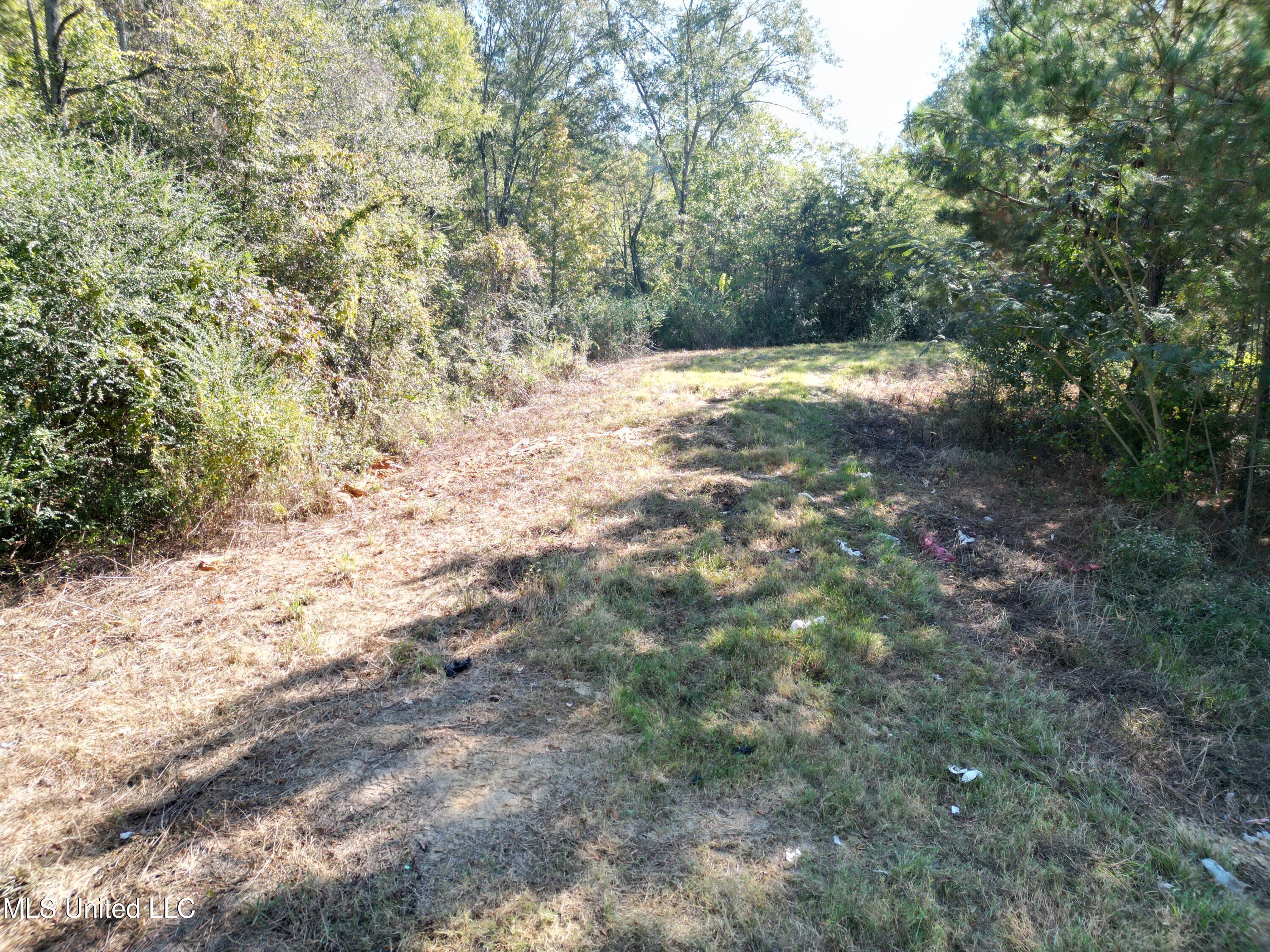 1844 Swamp Road Carthage, MS 39051 - Photo 13 of 29 13