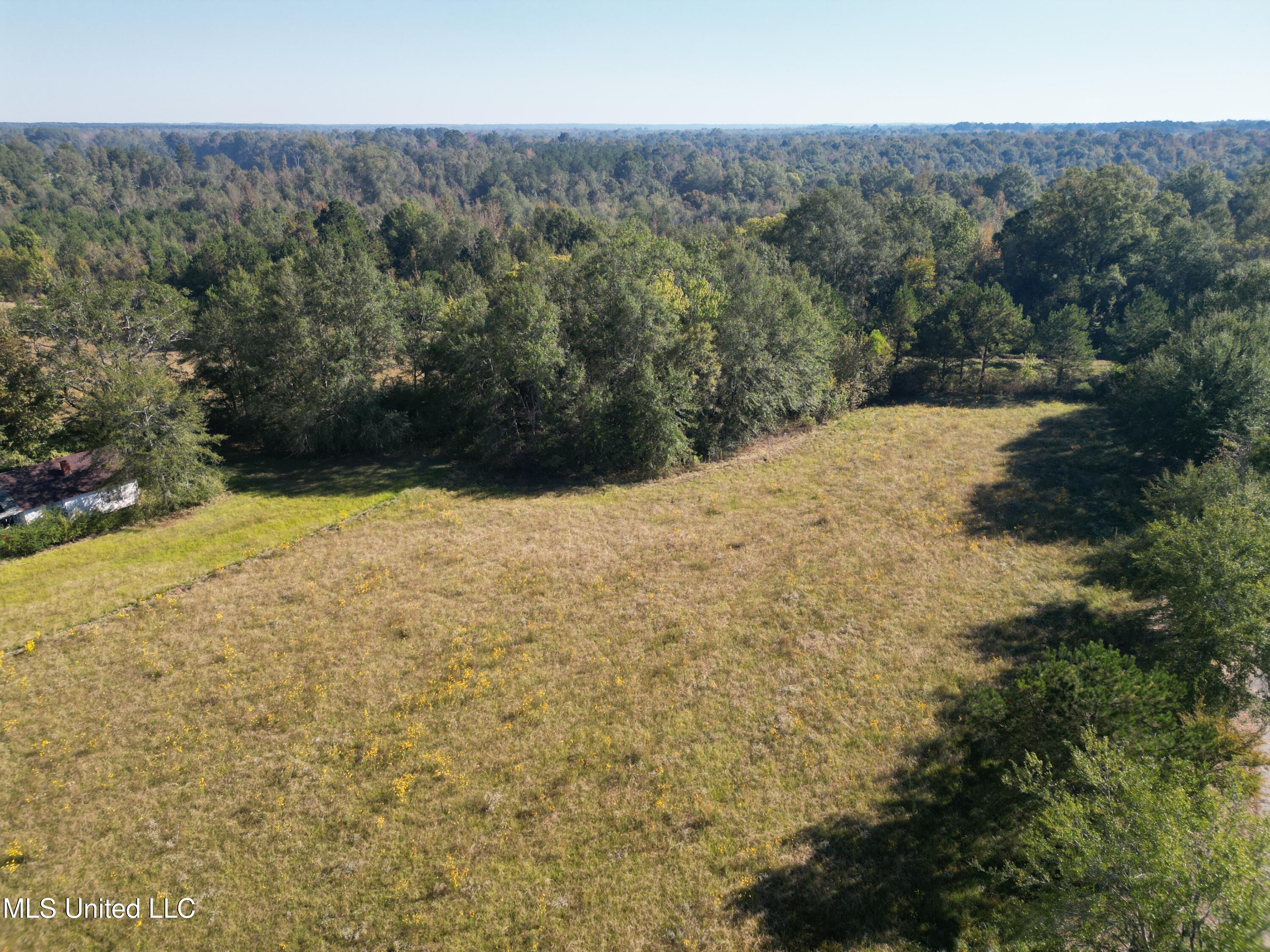 1844 Swamp Road Carthage, MS 39051 - Photo 14 of 29 14