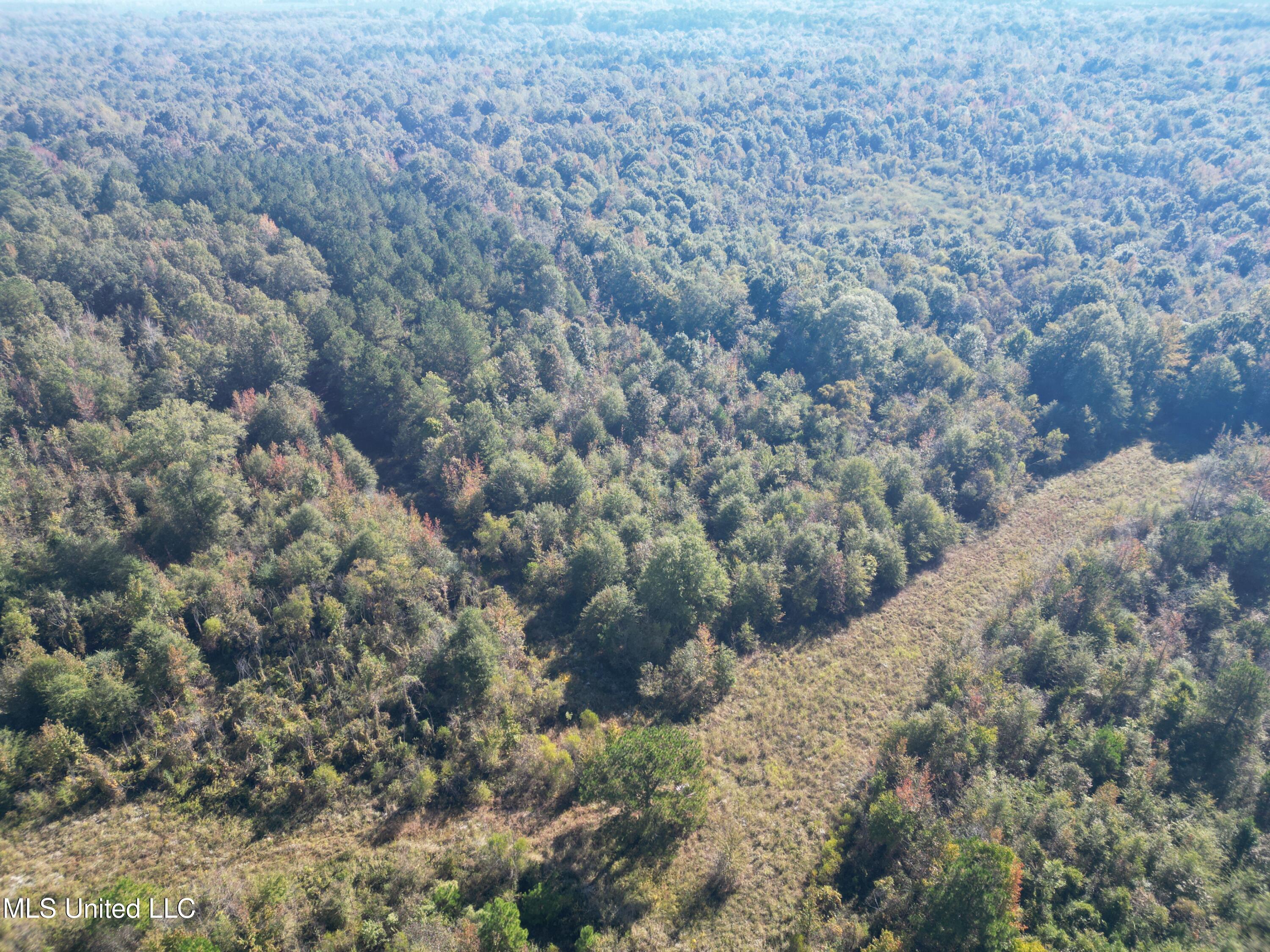 1844 Swamp Road Carthage, MS 39051 - Photo 16 of 29 16