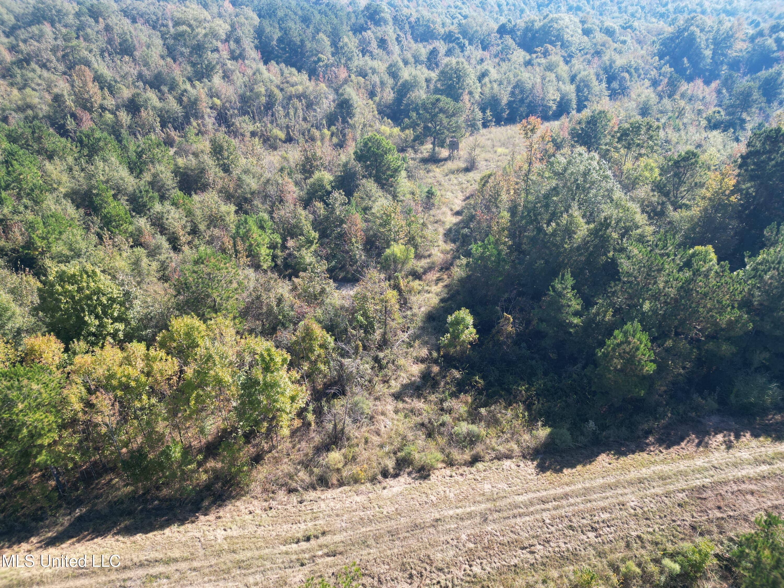 1844 Swamp Road Carthage, MS 39051 - Photo 17 of 29 17