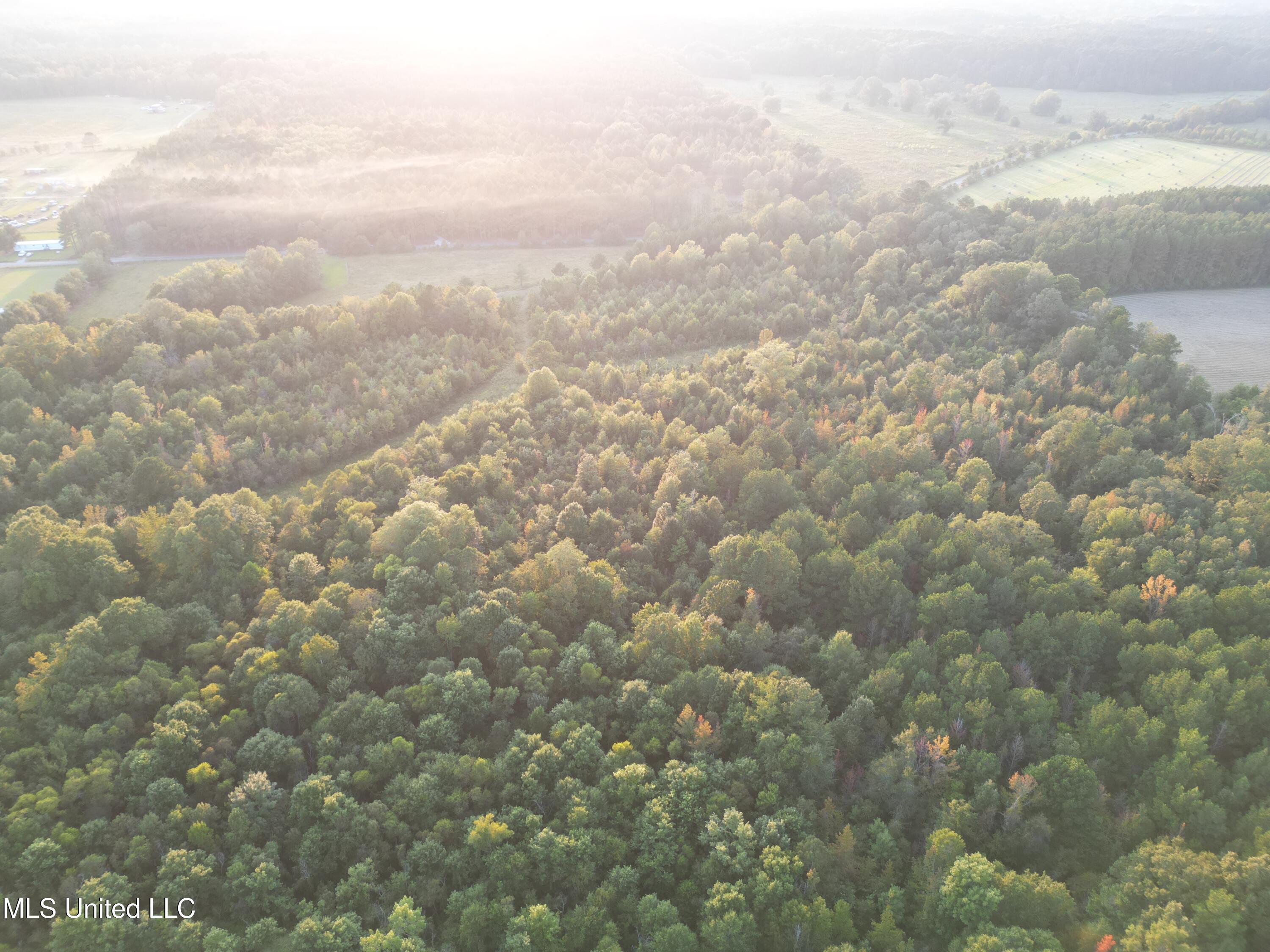 1844 Swamp Road Carthage, MS 39051 - Photo 2 of 29 2