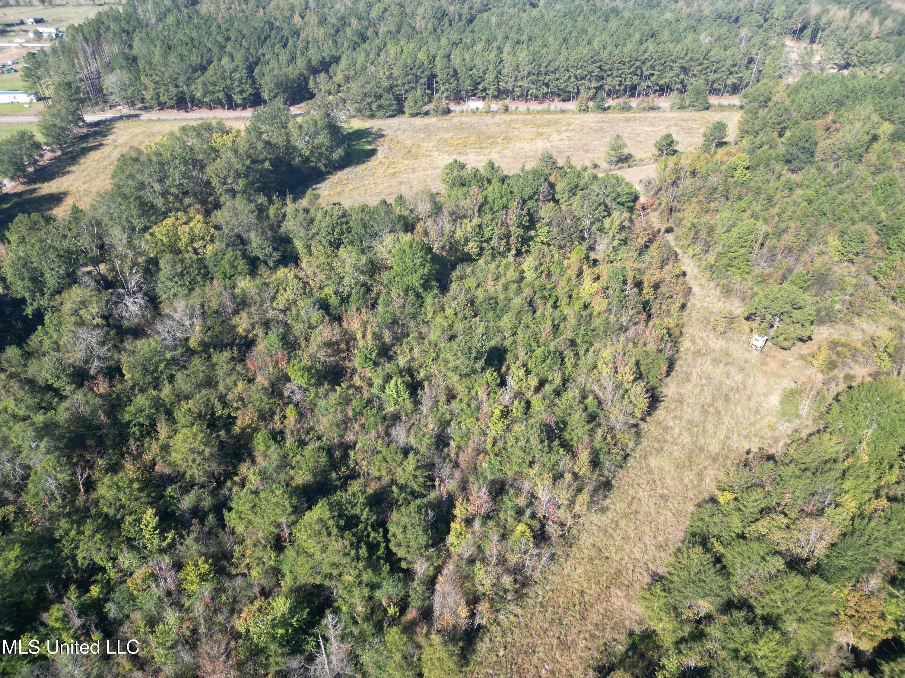 1844 Swamp Road Carthage, MS 39051 - Photo 21 of 29 21