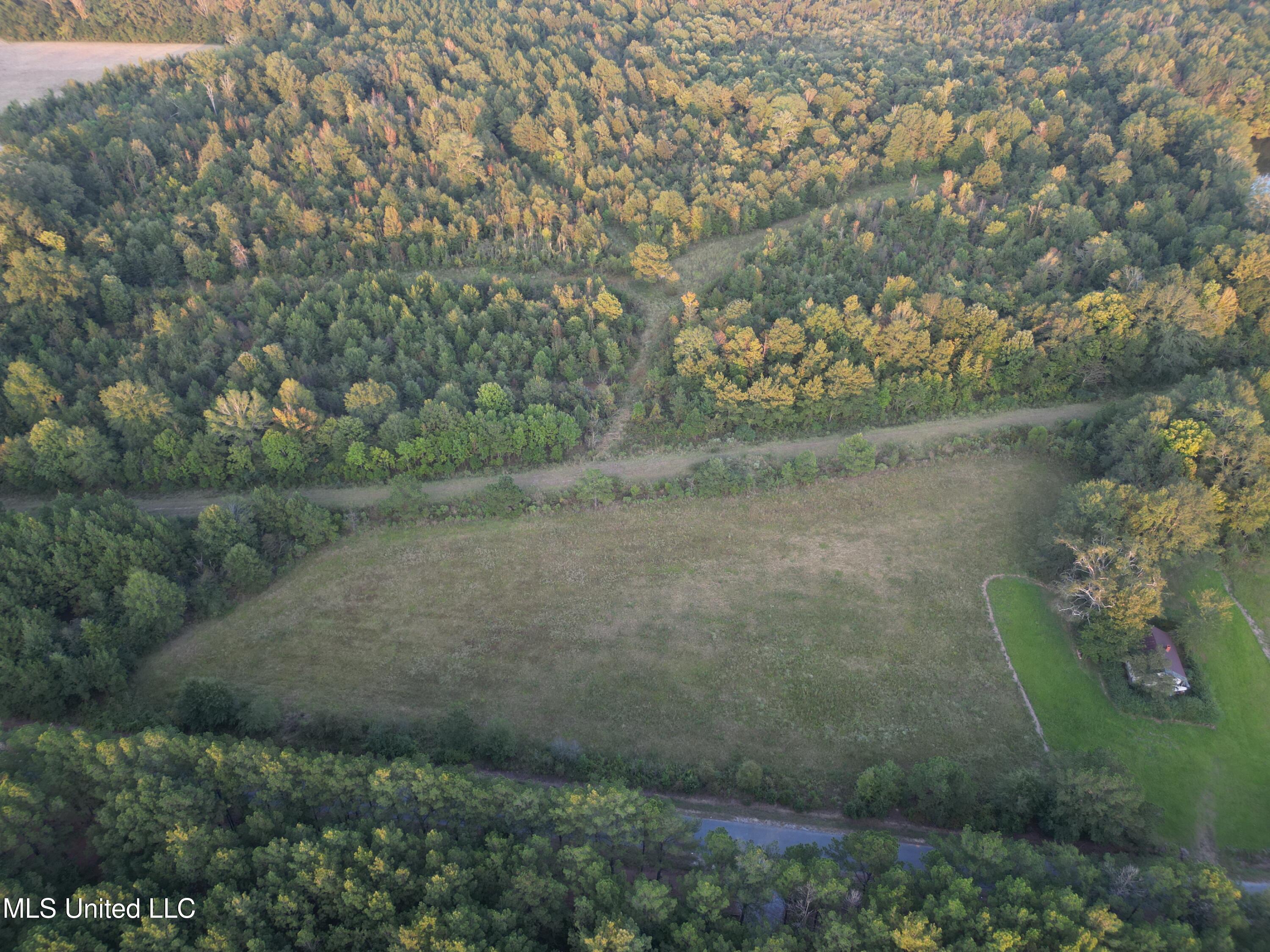 1844 Swamp Road Carthage, MS 39051 - Photo 3 of 29 3