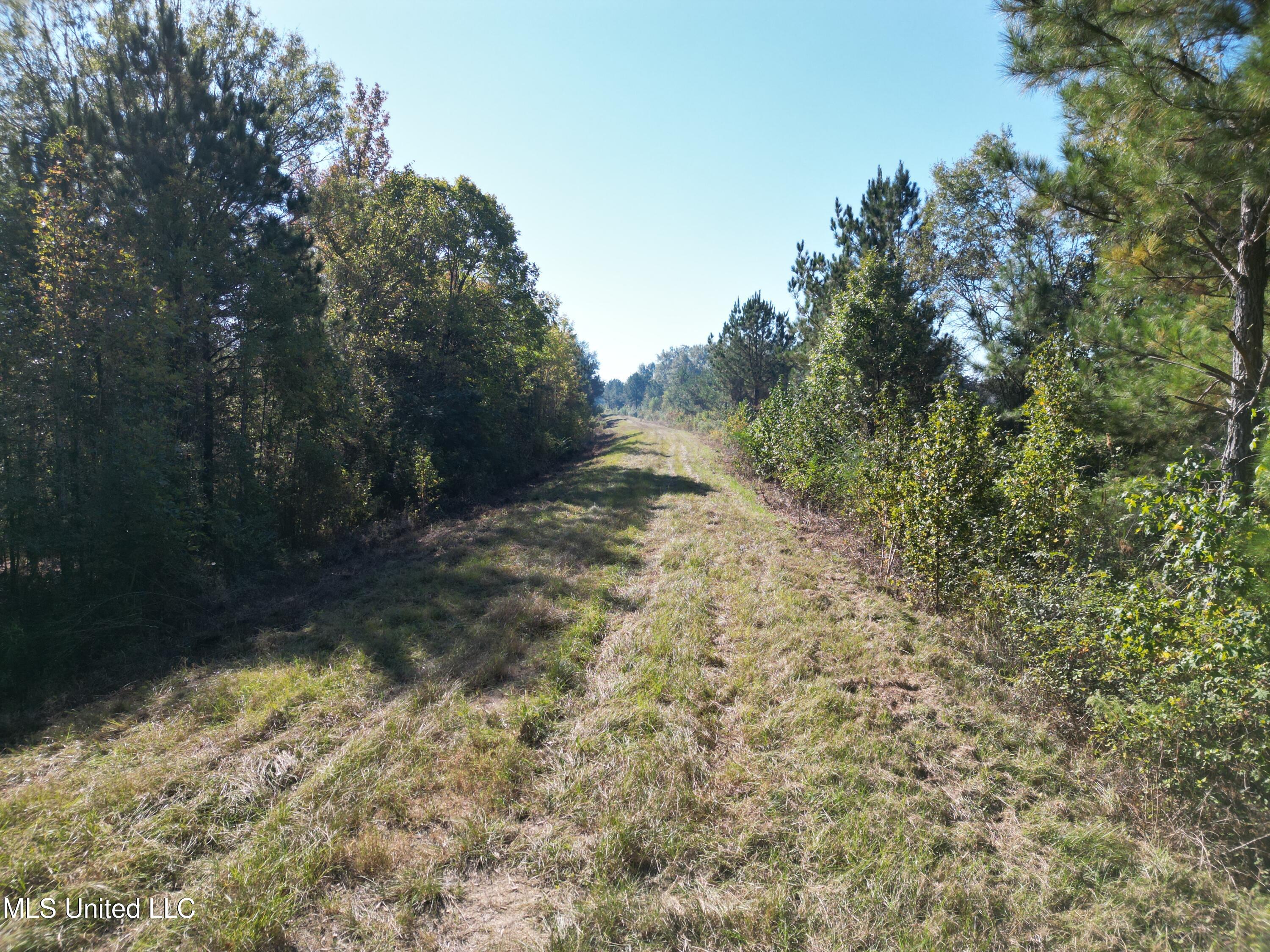 1844 Swamp Road Carthage, MS 39051 - Photo 4 of 29 4