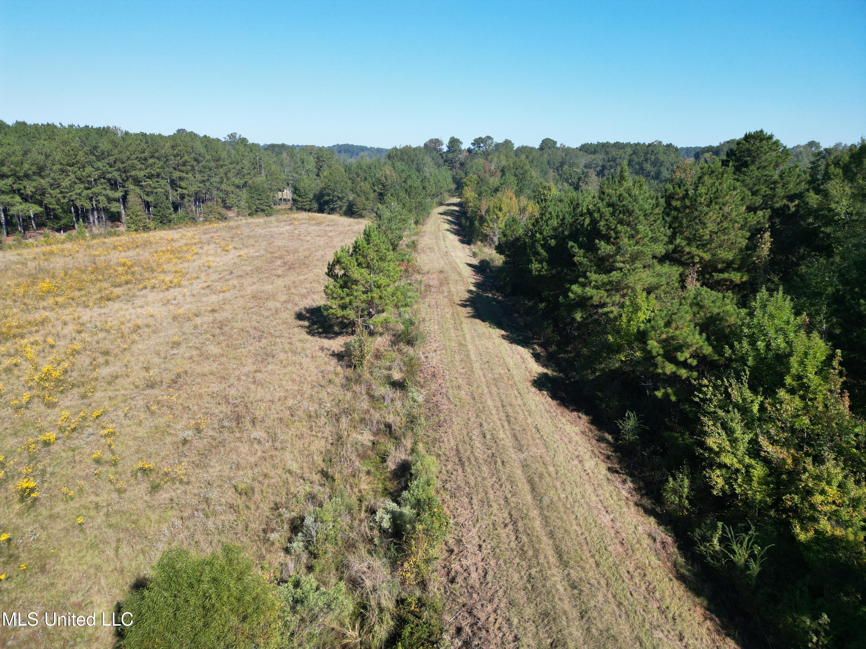 1844 Swamp Road Carthage, MS 39051 - Photo 5 of 29 5