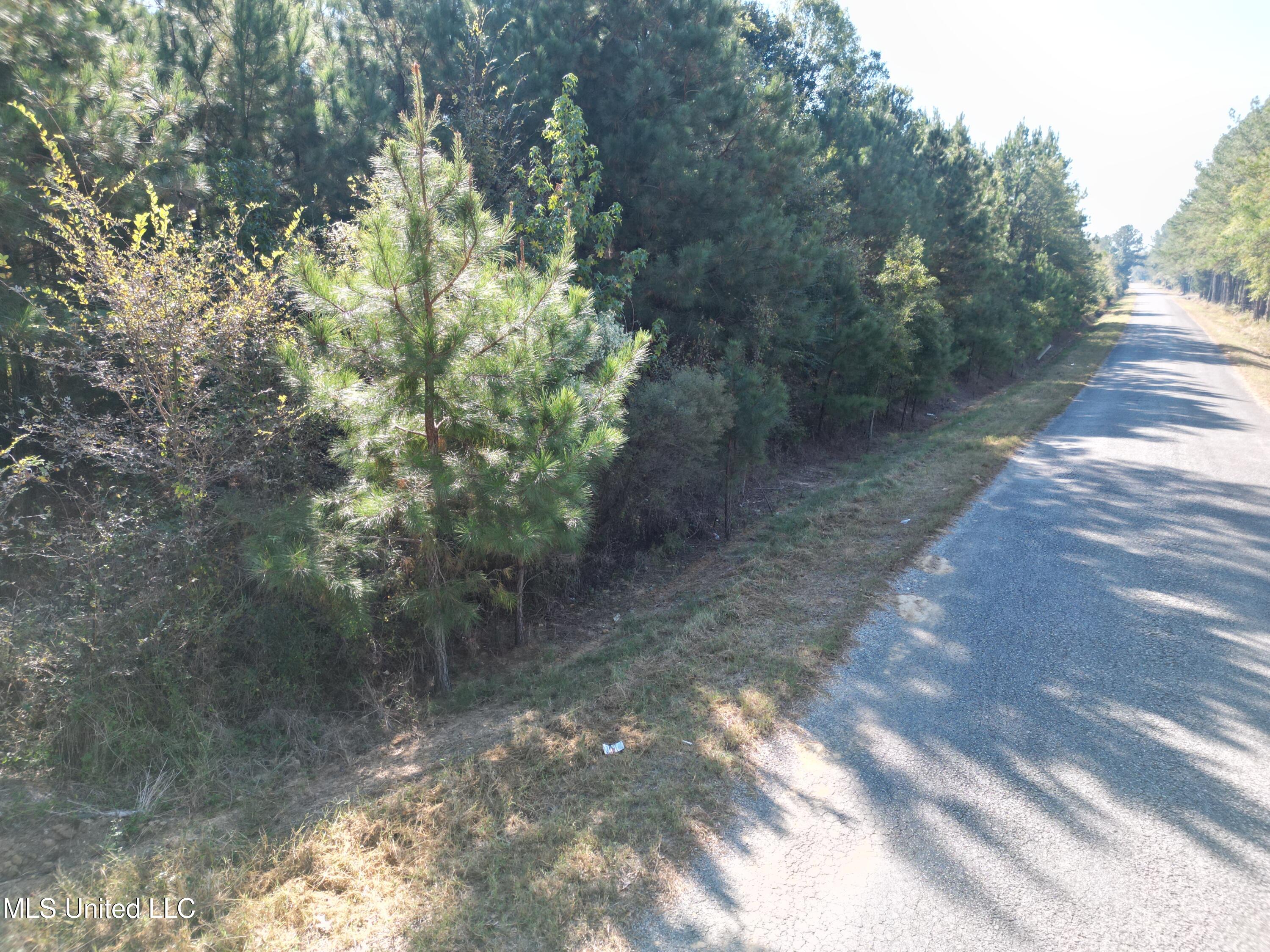 1844 Swamp Road Carthage, MS 39051 - Photo 7 of 29 7