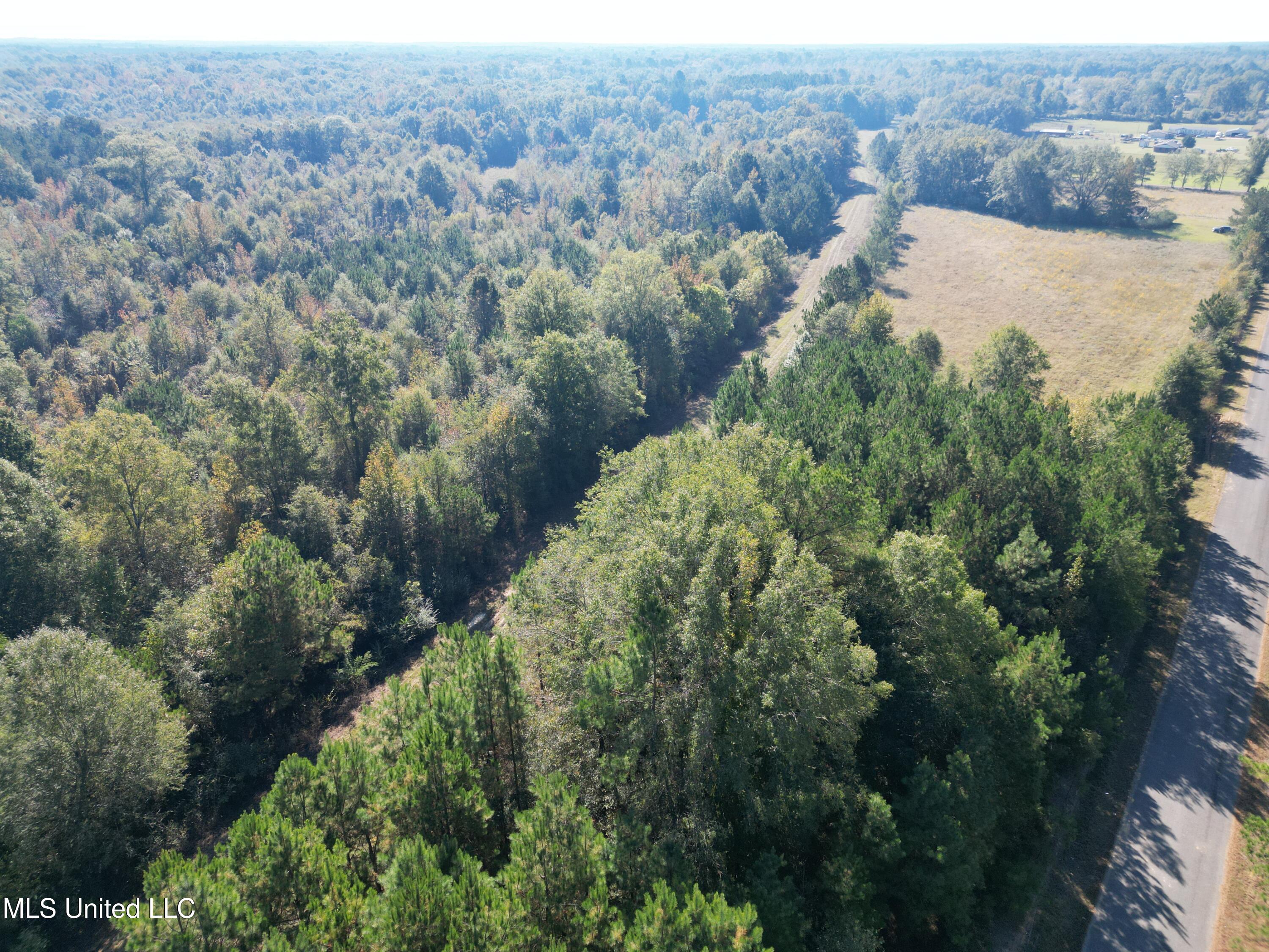 1844 Swamp Road Carthage, MS 39051 - Photo 8 of 29 8