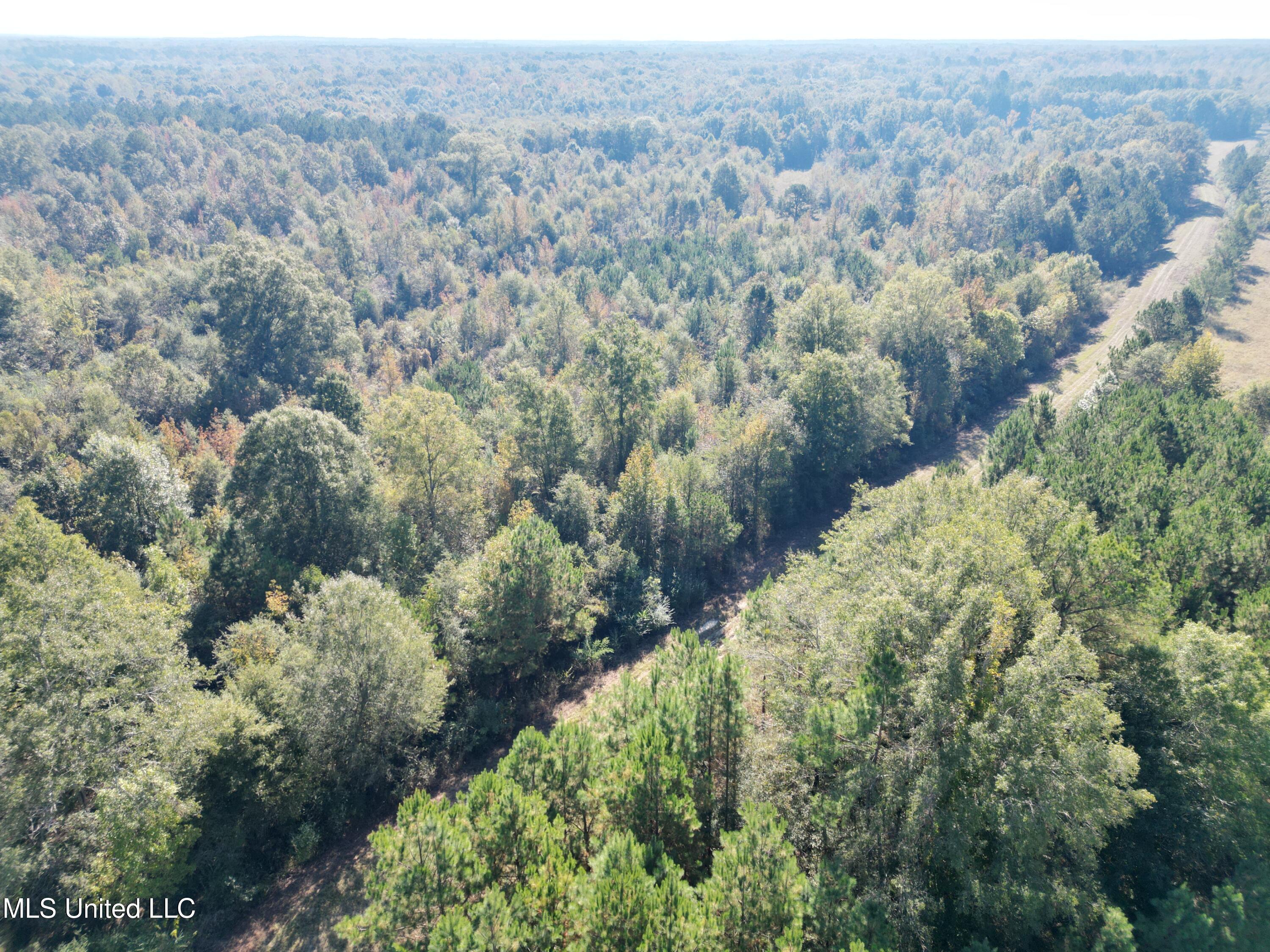 1844 Swamp Road Carthage, MS 39051 - Photo 9 of 29 9